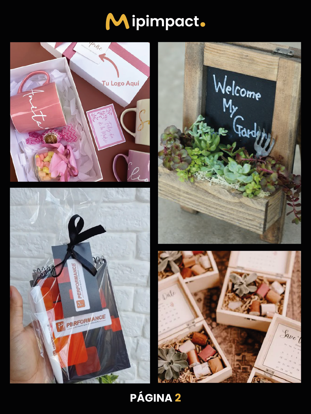 CATALOGO ANCHETAS - MIPIMPACT-02