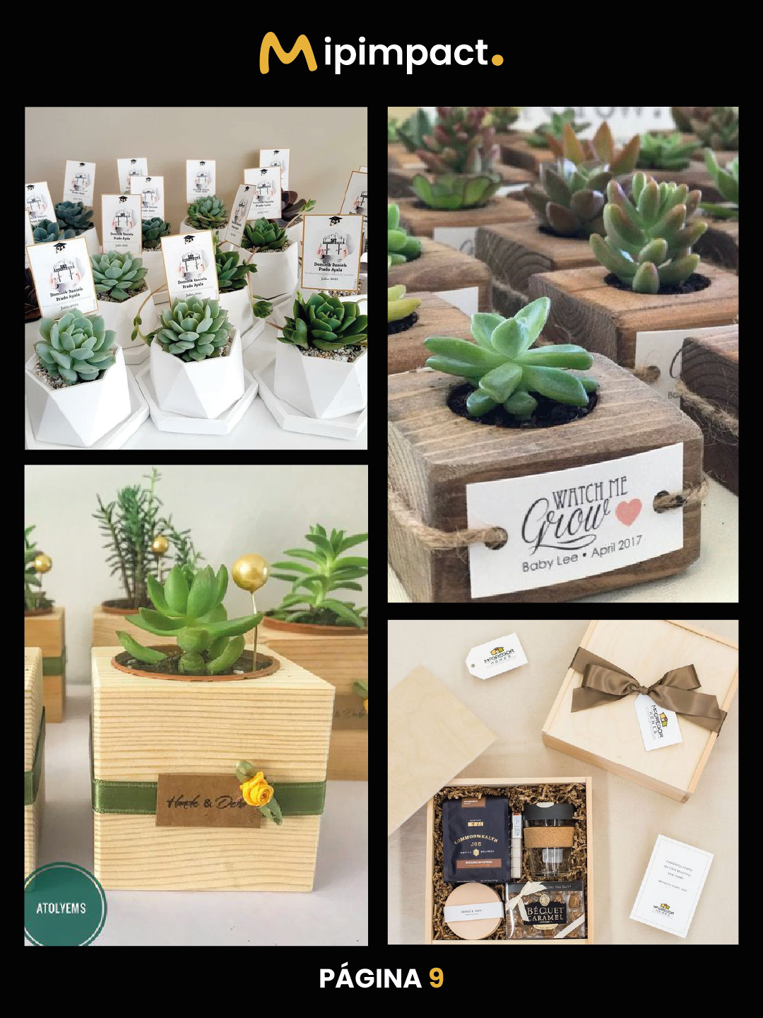 CATALOGO ANCHETAS - MIPIMPACT-09